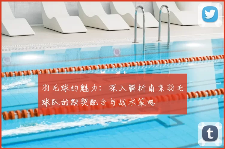 羽毛球的魅力：深入解析南京羽毛球队的默契配合与战术策略