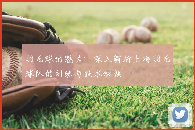 羽毛球的魅力：深入解析上海羽毛球队的训练与技术秘诀