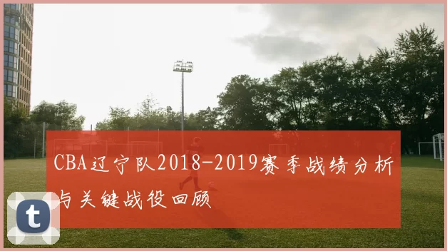 CBA辽宁队2018-2019赛季战绩分析与关键战役回顾
