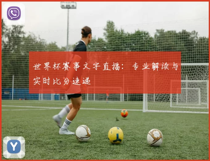 世界杯赛事文字直播：专业解读与实时比分速递