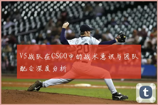 V5战队在CSGO中的战术意识与团队配合深度分析