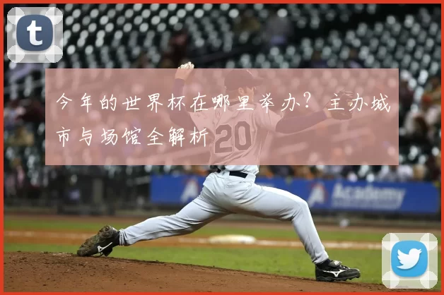今年的世界杯在哪里举办?主办城市与场馆全解析