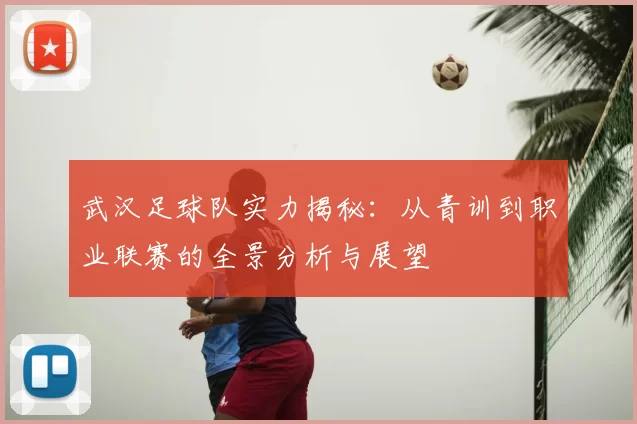 武汉足球队实力揭秘：从青训到职业联赛的全景分析与展望