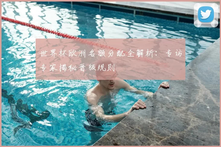 世界杯欧洲名额分配全解析:专访专家揭秘晋级规则