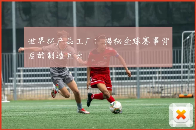 世界杯产品工厂：揭秘全球赛事背后的制造巨头