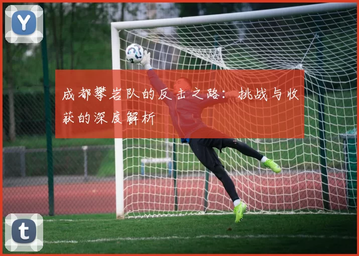成都攀岩队的反击之路：挑战与收获的深度解析