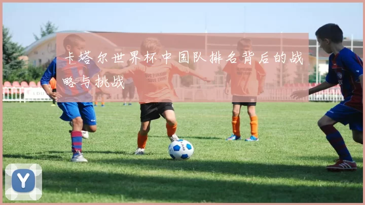 卡塔尔世界杯中国队排名背后的战略与挑战