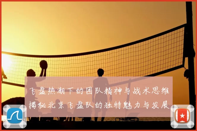 飞盘热潮下的团队精神与战术思维揭秘北京飞盘队的独特魅力与发展之路