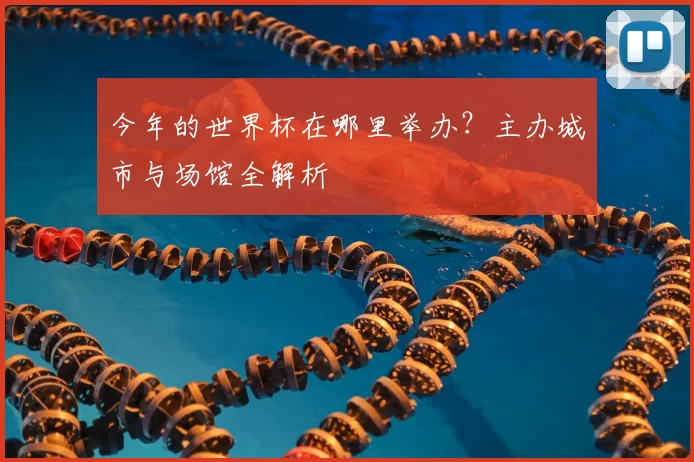 今年的世界杯在哪里举办?主办城市与场馆全解析