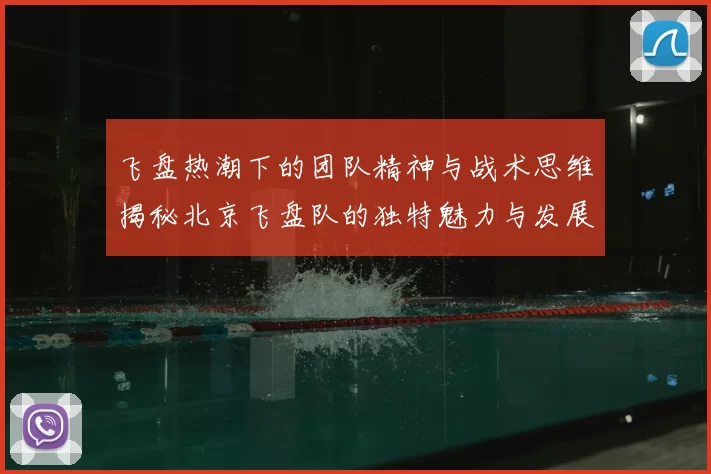 飞盘热潮下的团队精神与战术思维揭秘北京飞盘队的独特魅力与发展之路