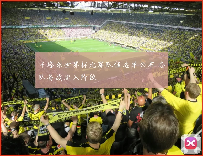 卡塔尔世界杯比赛队伍名单公布 各队备战进入阶段