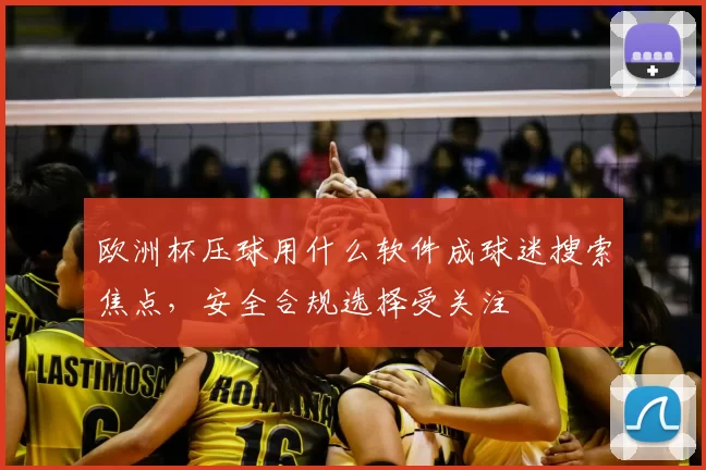 欧洲杯压球用什么软件成球迷搜索焦点,安全合规选择受关注