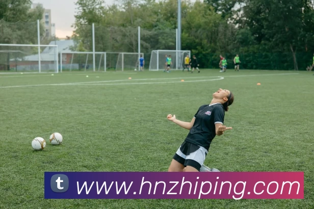 未来规划